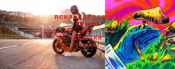 СК Алексеевка