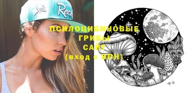 СК Алексеевка
