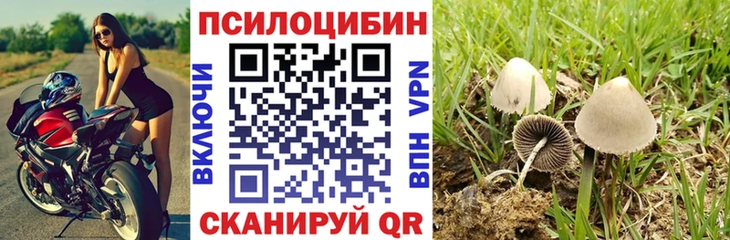 Галлюциногенные грибы MAGIC MUSHROOMS  Купить где  Куйбышев 